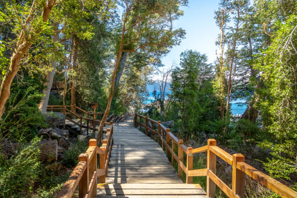 boardwalk path at arrayanes national park - villa la angostura, patagonia, argentina - bariloche patagonia argentina lake imagens e fotografias de stock