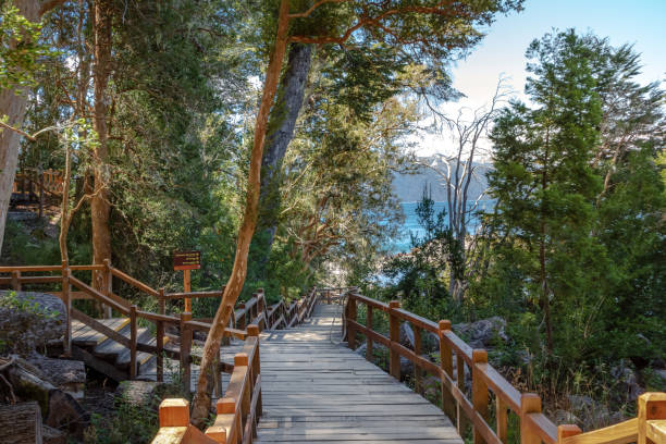 Boardwalk path at Arrayanes National Park - Villa La Angostura, Patagonia, Argentina Boardwalk path at Arrayanes National Park - Villa La Angostura, Patagonia, Argentina nahuel huapi national park stock pictures, royalty-free photos & images