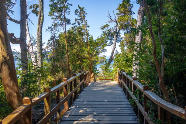 istock Boardwalk path at Arrayanes National Park - Villa La Angostura, Patagonia, Argentina 1003108306