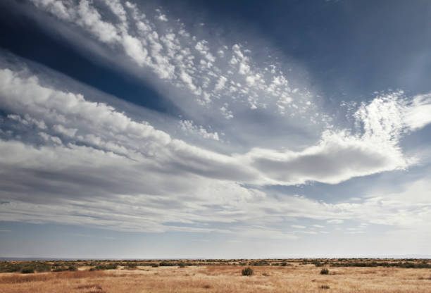 A tilled farmland under a clear blue sky with a single white cloud. This minimalistic landscape conveys serenity and nature's simple beauty, captured in Denmark during favorable weather conditions. Perfect for themes of agriculture, minimalism, and open spaces.