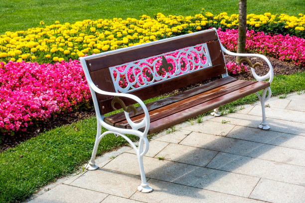 istock Bench and flowerbed in public park 1003111402