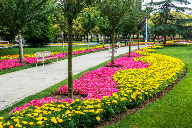 istock Flowerbed in public park 1003111410