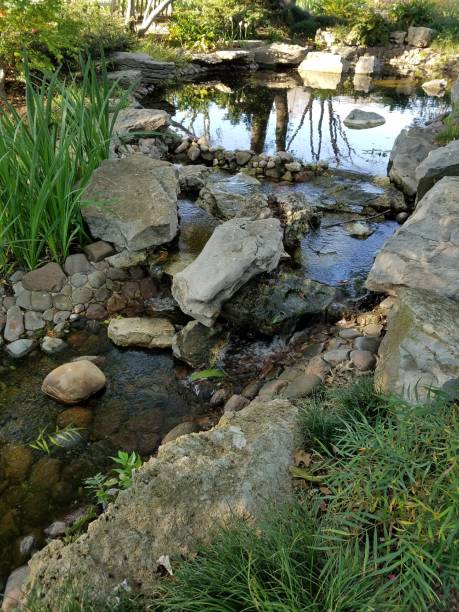 istock Landscaping and Gardening 1003115616