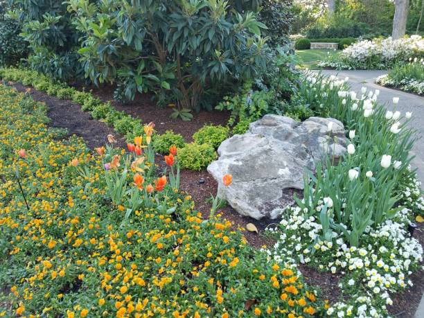 istock Landscaping and Gardening 1003115836