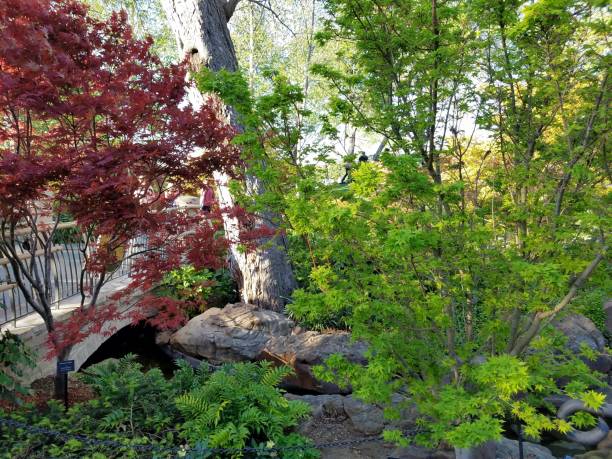 istock Landscaping and Gardening 1003115890