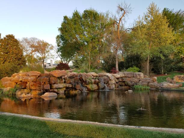 istock Landscaping and Gardening 1003115918