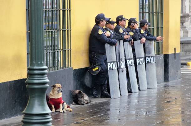 policía peruana en lima centro - perro peruano fotografías e imágenes de stock