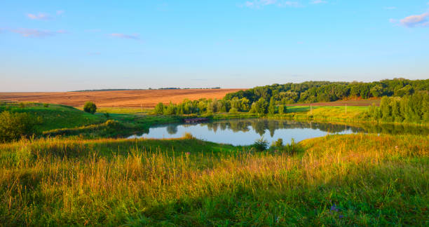 paysage d’été tranquille belle rivière, bois, champs et collines verdoyantes. matin calme ensoleillé. - farm lake photos et images de collection