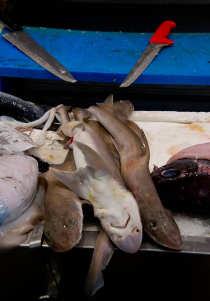 rock salmons on fish market