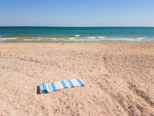 istock Deserted beach of seashells 1003130758