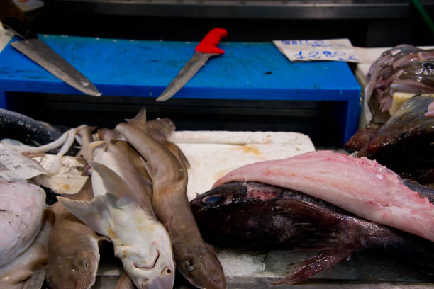 salmoni di roccia sul mercato del pesce - spinarolo foto e immagini stock
