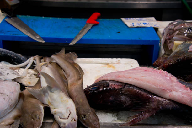 istock rock salmons on fish market 1003130834