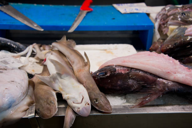 salmoni di roccia sul mercato del pesce - spinarolo immagine foto e immagini stock