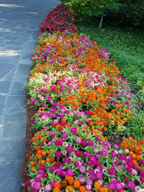istock Landscaping and Gardening 4 1003139944