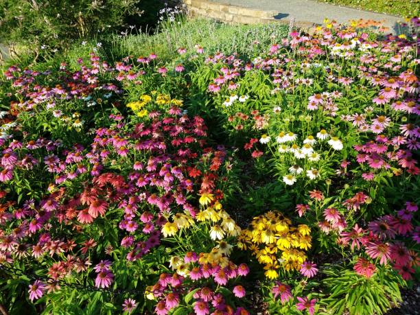 istock Landscaping and Gardening 4 1003140160