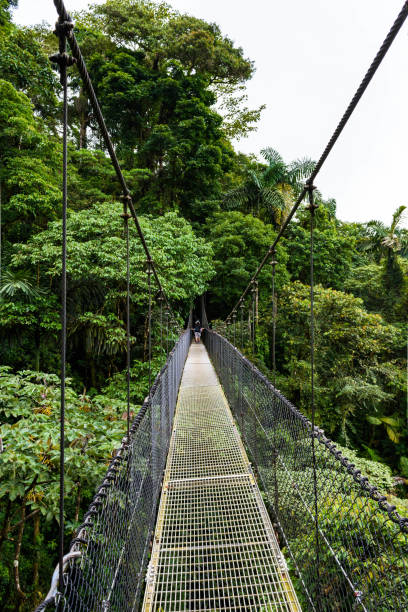 istock The hanging bridges of Arenal 1003143354