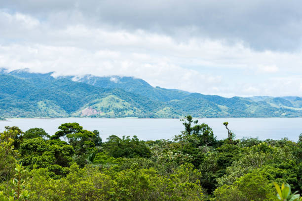istock Lake Arenal from the national park 1003143372
