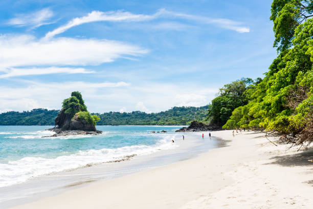 The main beach of Manuel Antonio Beautiful white sandy beach in Costa Rica. costa rica photos stock pictures, royalty-free photos & images