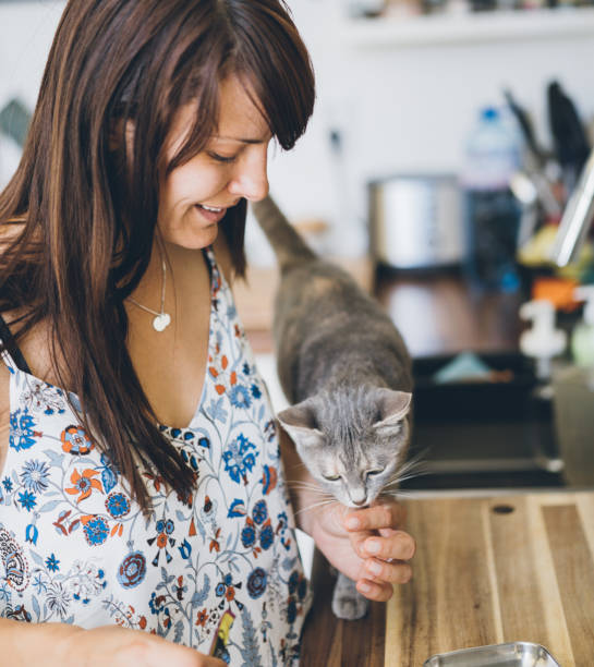 istock Woman and cat at the kitchen 1003150396