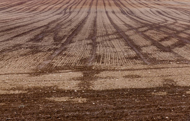 istock plowed field in autumn 1003157260