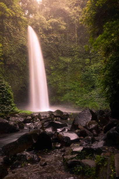 istock Nungnung Waterfall Splashing in Bali Jungle, Indonesia 1003159980