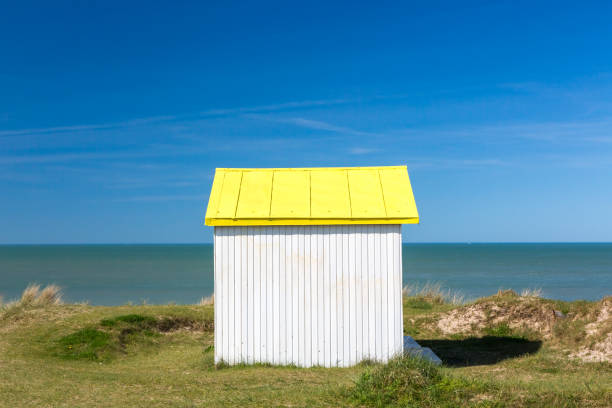 istock Beach cabins, Normandy, France 1003163608