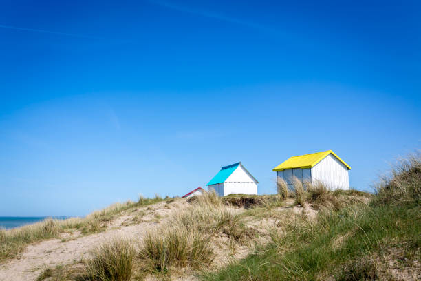 istock Beach cabins, Normandy, France 1003166518