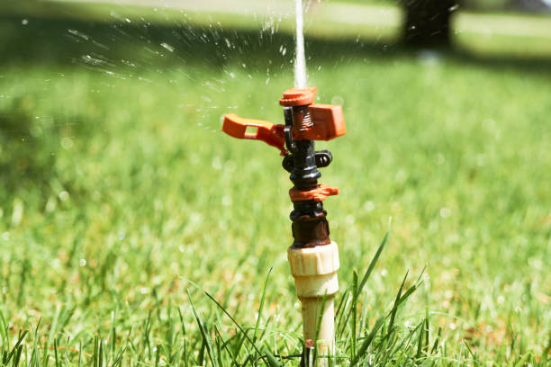 istock Close up sprinklers spraying water on grass 1003169392