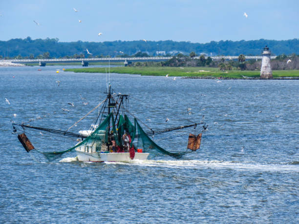 istock Shrimp boat coming into bay 1003172312