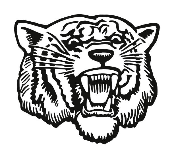 Fierce Tiger Fierce Tiger tiger mascot stock illustrations