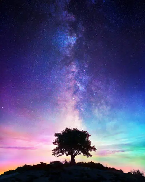 Photo of Starry Night  - Lonely Tree With Milky Way