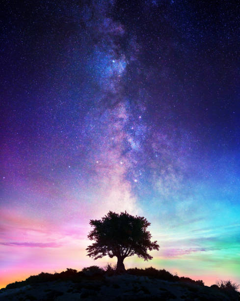 звездная ночь - одинокое дерево с млечным путем - milky way galaxy space star стоковые фото и изображения
