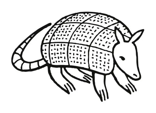 Vector illustration of Armadillo