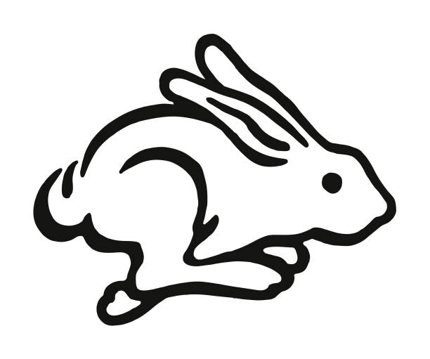 Fast Running Rabbit Worksheet Rabbit Running Fast