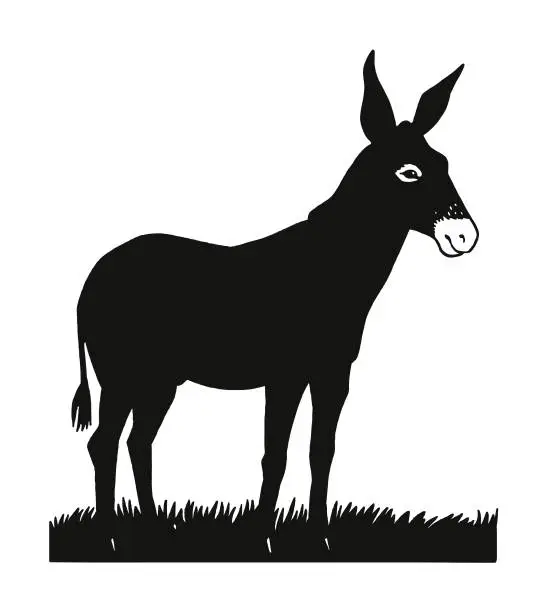 Vector illustration of Donkey