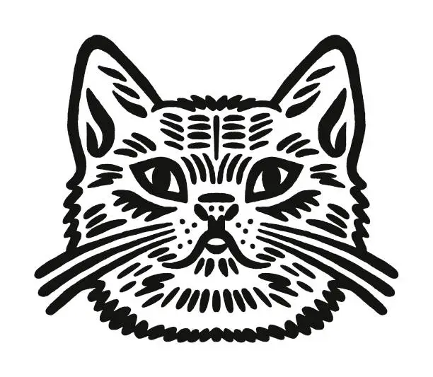 Vector illustration of Cat
