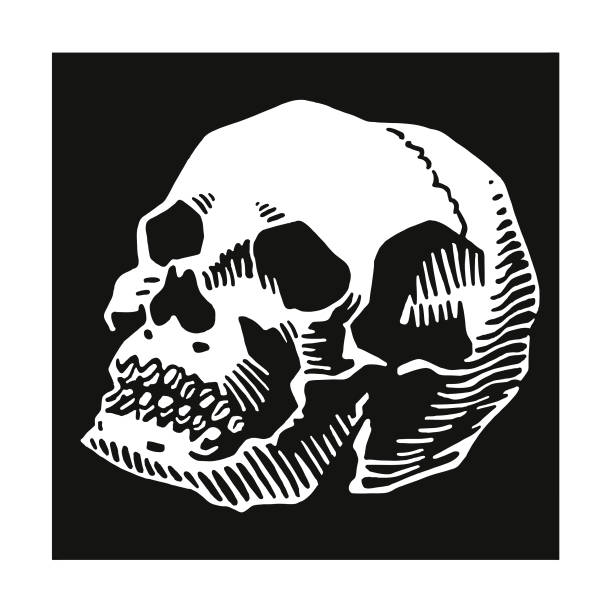 illustrations, cliparts, dessins animés et icônes de de crâne - crâne