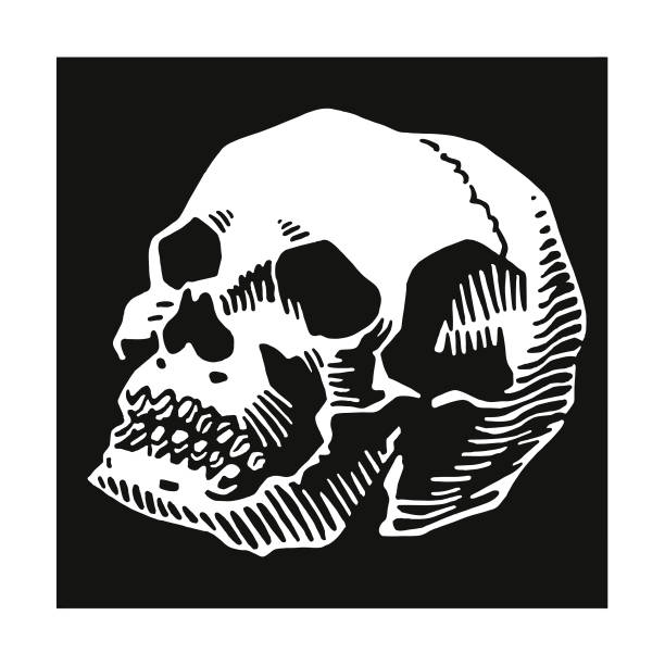 kafatası - ölüm illüstrasyonlar stock illustrations