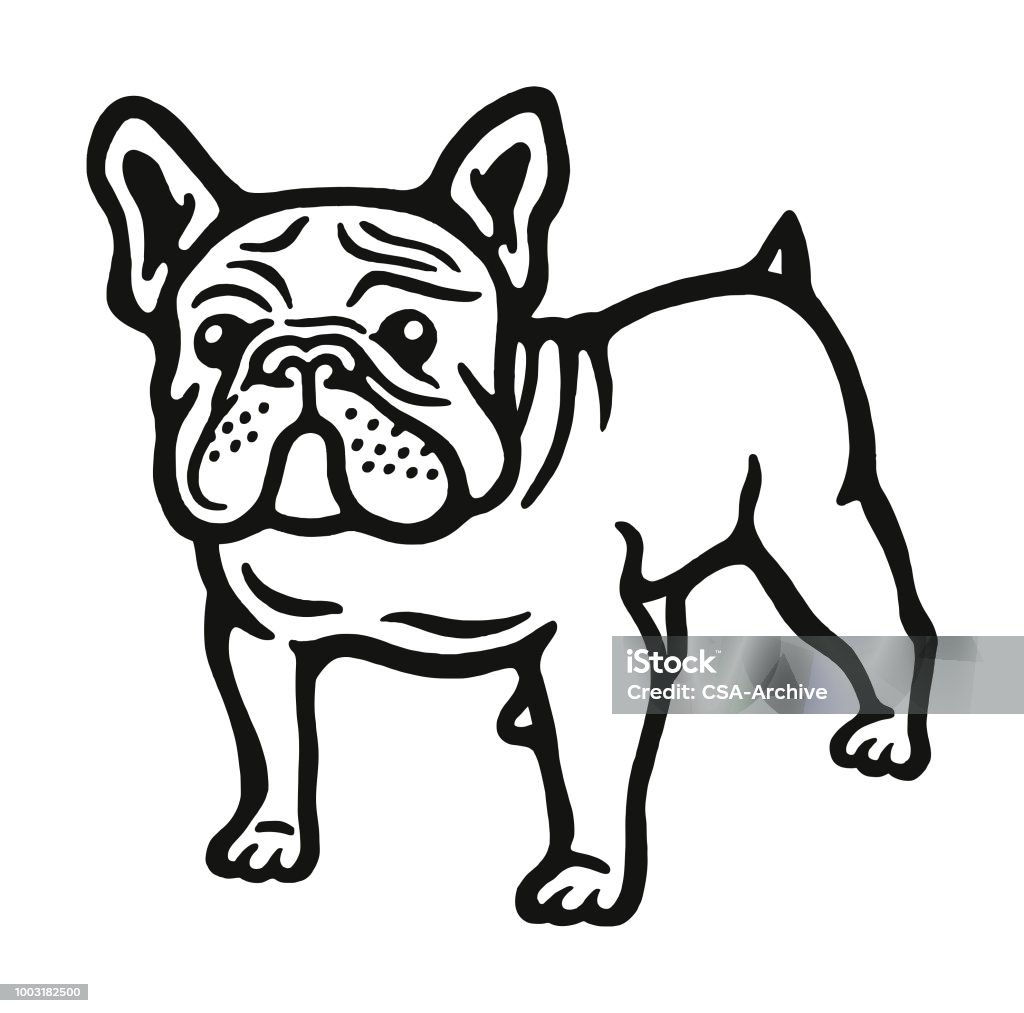 Bulldog Dog stock vector