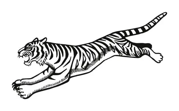 Vector illustration of Jumping Tiger