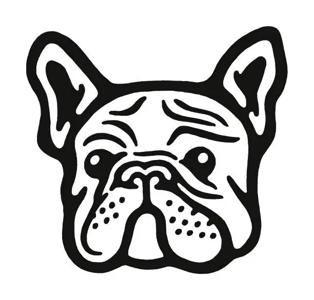 Vector illustration of Bulldog Face