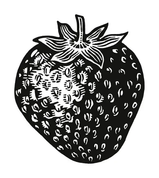 Vector illustration of Strawberry