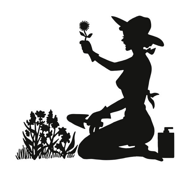 Silhouette of a Woman Gardening Silhouette of a Woman Gardening gardening silhouettes stock illustrations