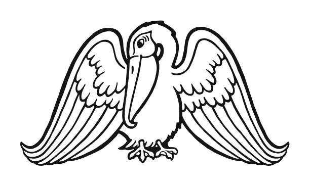 Pelican Pelican pelican stock illustrations