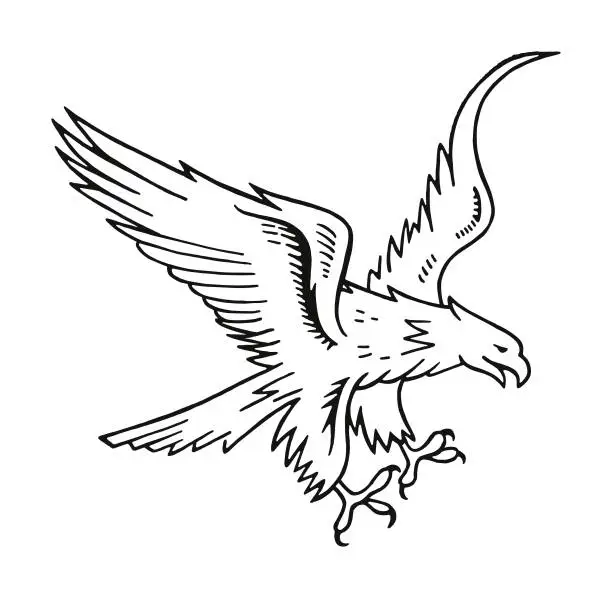 Vector illustration of Eagle