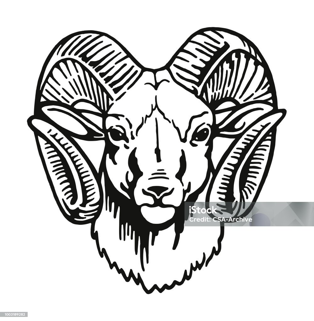 Head of a Ram Ram - Animal stock vector