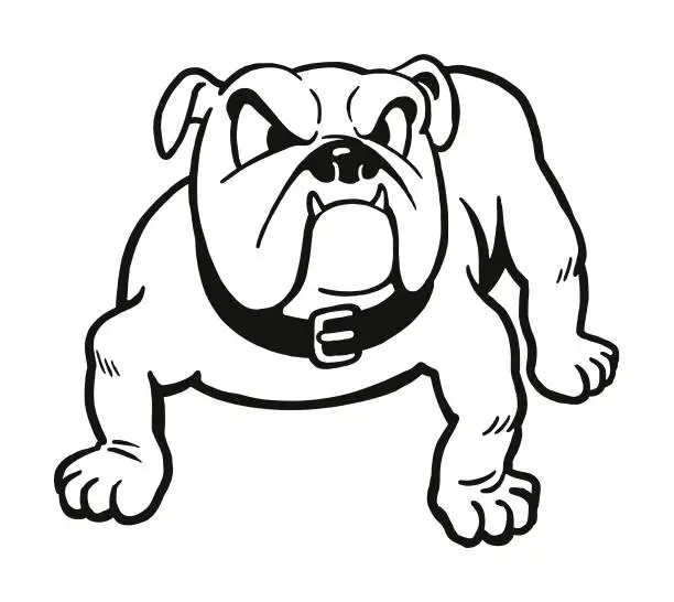 Vector illustration of Bulldog