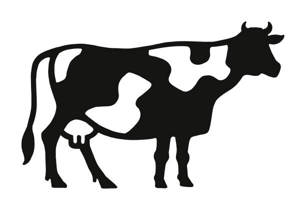 ilustrações, clipart, desenhos animados e ícones de vaca - fêmea de mamífero