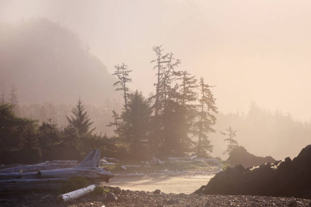Early morning along the shores of northern Vancouver Island.