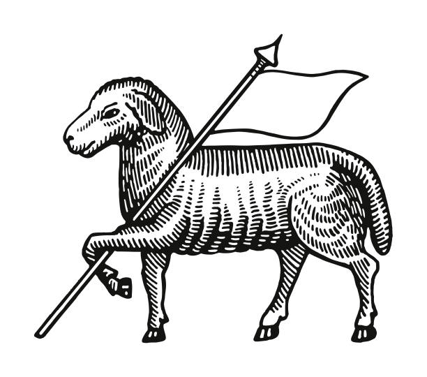 owca - jagnię zwierzę stock illustrations